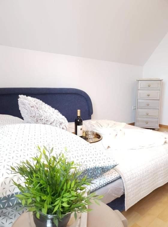 Apartament Dominik Zakopane Esterno foto